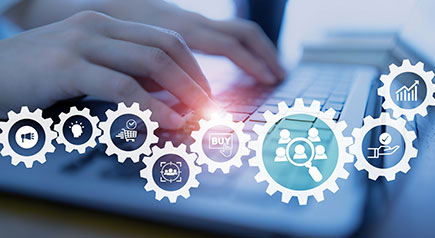 企业网站多语言版本配置：按需选择 精准布局